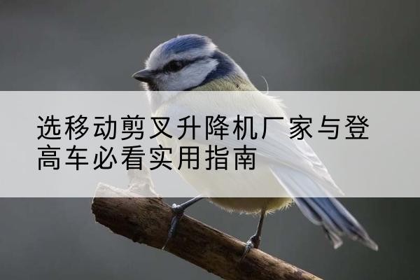 都匀电动升降机厂家-选移动剪叉升降机厂家与登高车必看实用指南