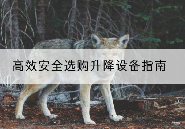 都匀升降货梯厂家推荐-*安全选购升降设备指南