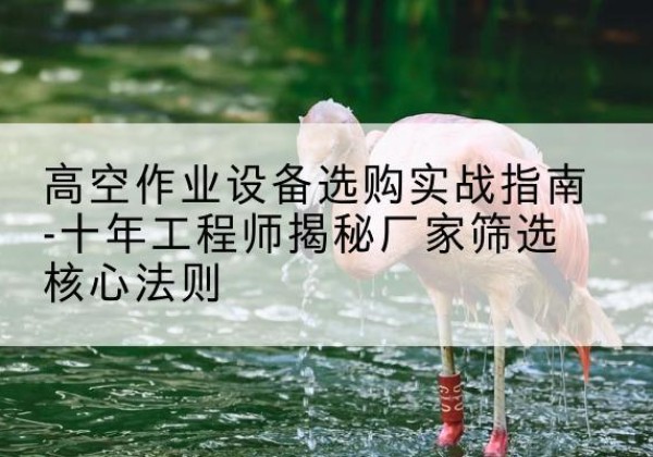 都匀剪叉式升降机厂家-高空作业设备选购实战指南-十年工程师揭秘厂家筛选核心法则